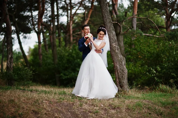 Красива молода весільна пара захоплюється один одним на сосновому дереві — стокове фото