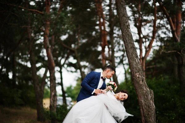 Vackra unga bröllopsparet beundra varandra i en tall tre — Stockfoto