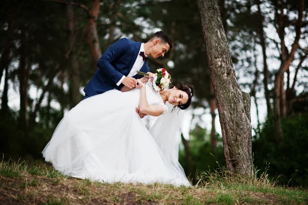 Bella giovane coppia di nozze ammirando l'un l'altro in un tre pino — Foto Stock