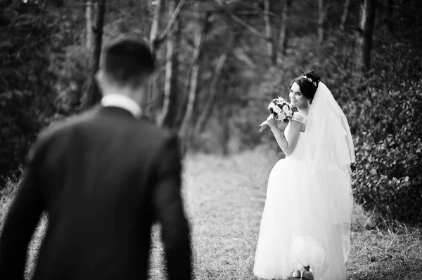 Schönes junges Hochzeitspaar bewundert einander in einer Kiefer tre — Stockfoto