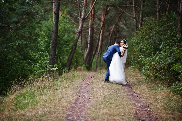 Schönes junges Hochzeitspaar bewundert einander in einer Kiefer tre — Stockfoto