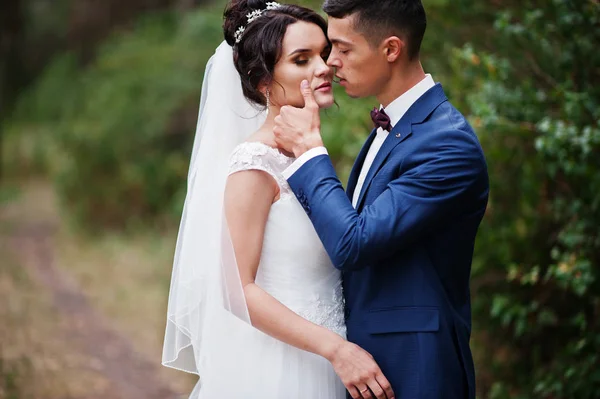 Foto de cerca de una pareja de novios besándose en el bosque de pinos . —  Fotos de Stock