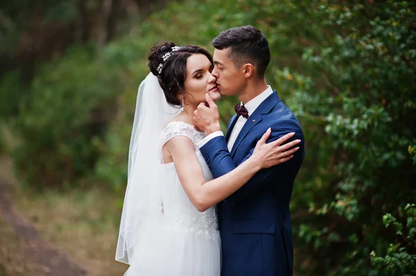 Foto de cerca de una pareja de novios besándose en el bosque de pinos . —  Fotos de Stock