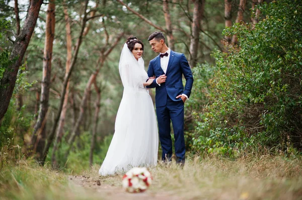 Hermosa joven pareja de boda admirándose en un trío de pino —  Fotos de Stock