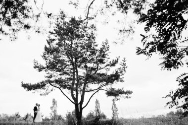 Yeni evli bir güzel countrys içinde birbirlerinin şirket zevk