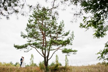 Yeni evli bir güzel countrys içinde birbirlerinin şirket zevk