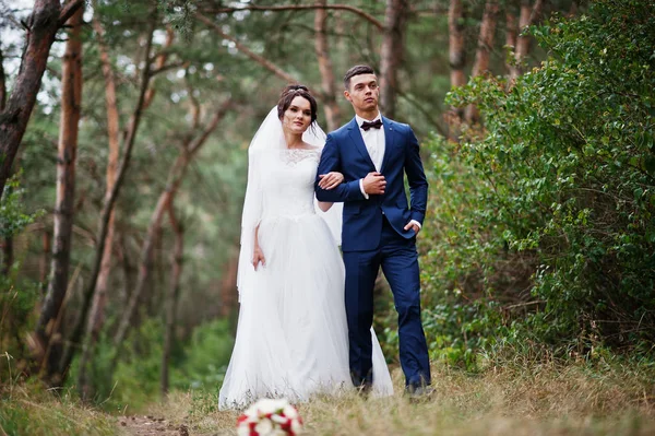 Mooie jonge bruidspaar elkaar bewonderen in een pine tre — Stockfoto