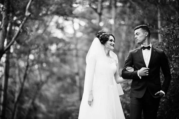 Casal jovem bonito admirando uns aos outros em um tre pinho — Fotografia de Stock