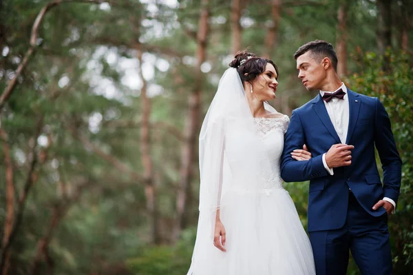 Bella giovane coppia di nozze ammirando l'un l'altro in un tre pino — Foto Stock