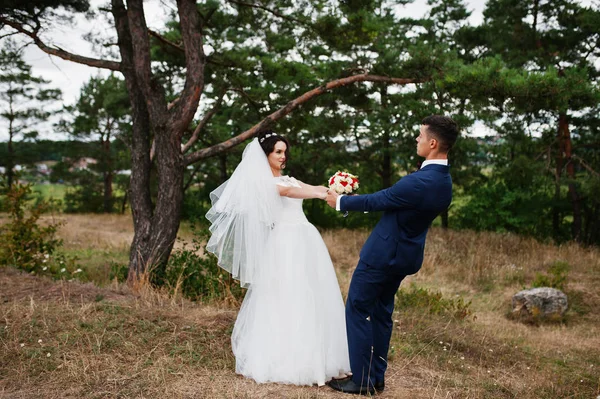 Frischverheiratete tanzen auf dem Land mit Kiefern und hohen — Stockfoto