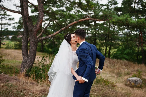 Bruiloft paar zoenen in het dennenbos en hand in hand. — Stockfoto