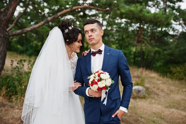 Schönes junges Hochzeitspaar bewundert einander in einer Kiefer tre — Stockfoto