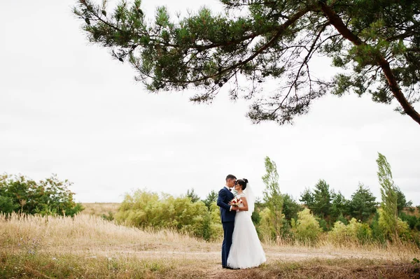 Yeni evli bir güzel countrys içinde birbirlerinin şirket zevk — Stok fotoğraf
