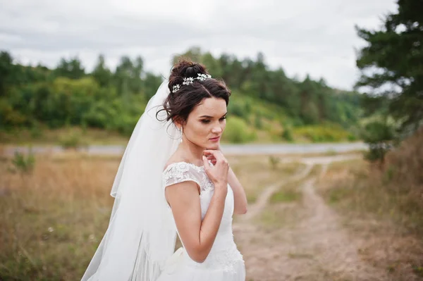 Novia solitaria hermosa posando para su sesión de fotos de boda en un — Foto de Stock