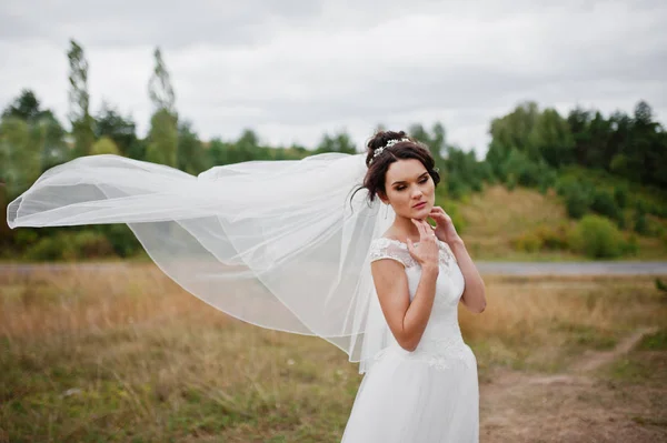 Lonely gorgeous bride posing for her wedding photo session in a — Stock Photo, Image