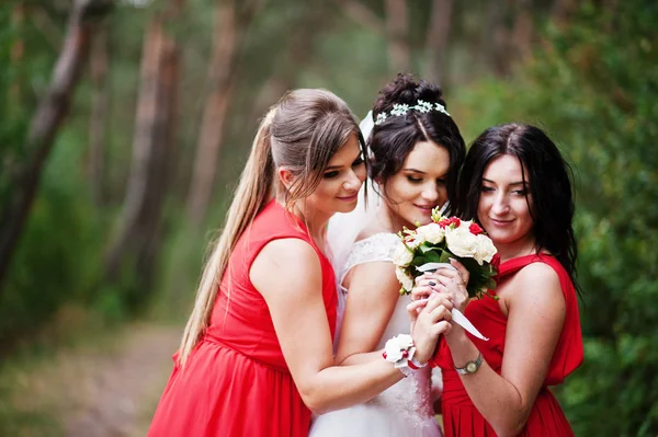 Fantástica novia con impresionantes damas de honor divirtiéndose en los frentes —  Fotos de Stock