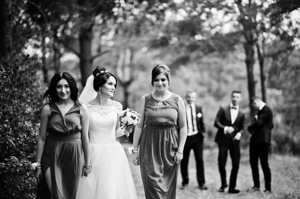 Stunning bride with bridesmaids walking in a foreground and groo — Stock Photo, Image