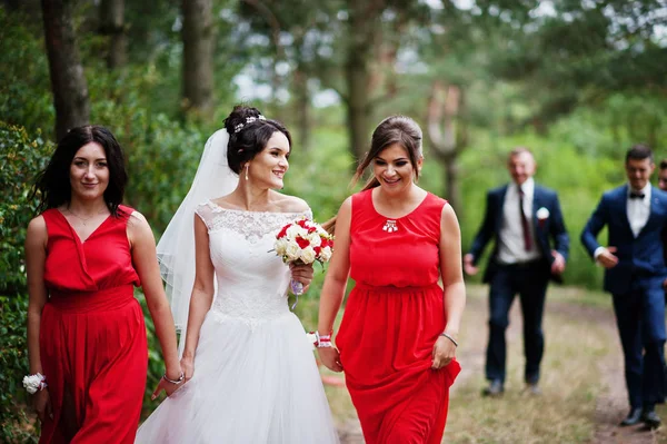 Stunning bride with bridesmaids walking in a foreground and groo — Stock Photo, Image