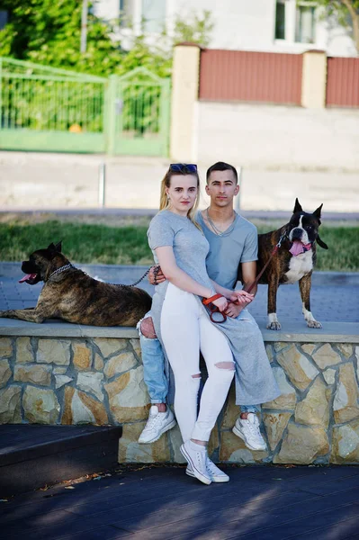 Casal apaixonado por dois cães pit bull terrier em uma caminhada . — Fotografia de Stock