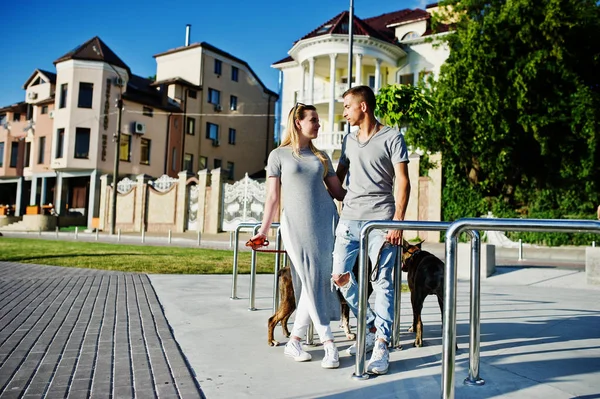 Met twee verliefde paar honden Terriër van de stier van de kuil op een wandeling. — Stockfoto