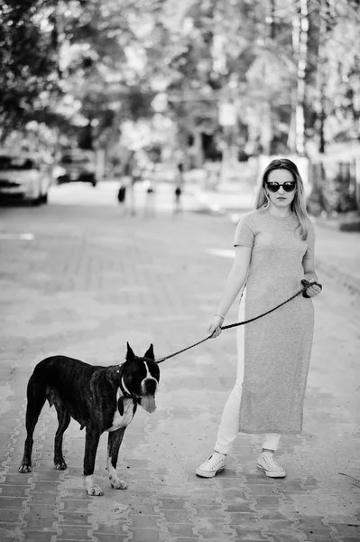 狗比特斗牛梗上散步的女孩. — 图库照片