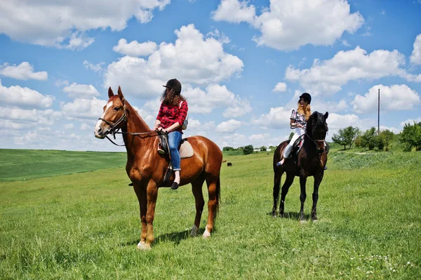 Schlepptau junge hübsche Mädchen auf einem Pferd auf einem Feld an einem sonnigen Tag — Stockfoto