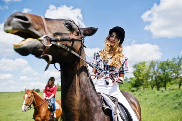 Буксир молодых красивых девушек верхом на лошадях по полю в солнечный день — стоковое фото