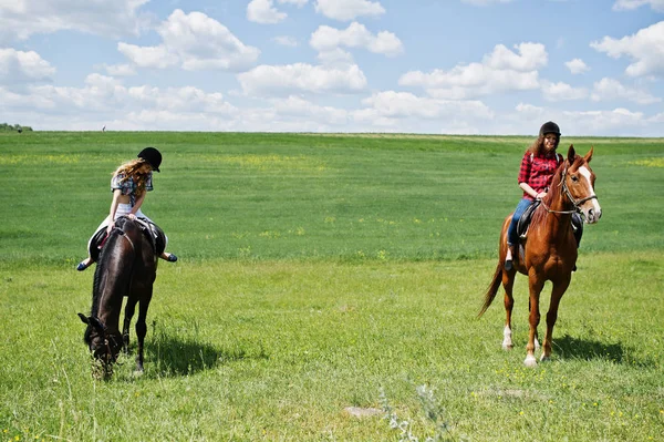 Reboque meninas bonitas montando cavalos em um campo no dia ensolarado — Fotografia de Stock