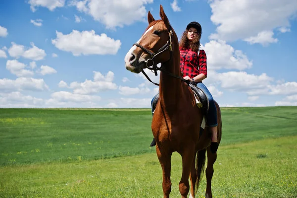 Menina bonita nova montando um cavalo em um campo no dia ensolarado . — Fotografia de Stock