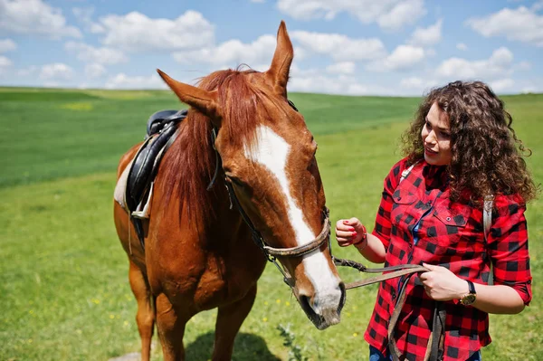 Mooi meisje verblijf met paard op een veld op een zonnige dag. — Stockfoto