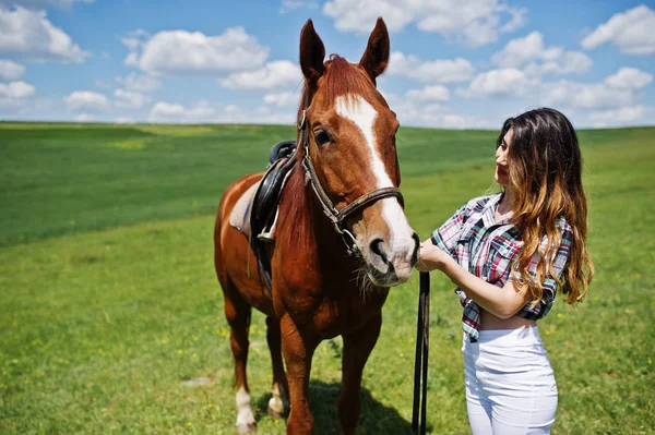 Young pretty girl stay with horse on a field at sunny day. — Stock Photo, Image