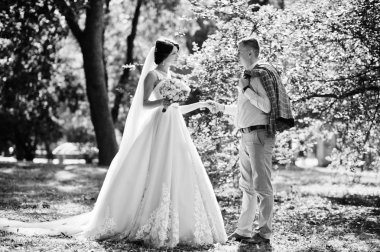 İki çekici genç düğün yürüyor ve park o poz