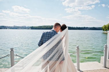 Güneşli bir günde göl üzerinde yürüme çarpıcı Düğün çifti.