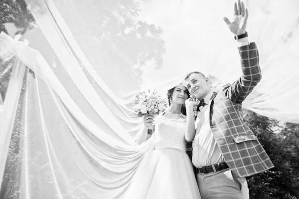 Attraktives junges Hochzeitspaar, das im Park spaziert und posiert — Stockfoto