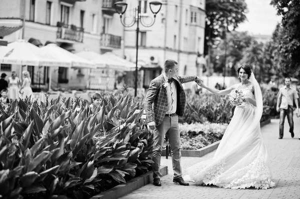 Flawless wedding young couple walking on city streets on a sunny — Stock Photo, Image