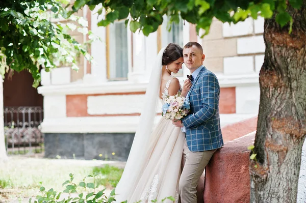 Flawless bröllop unga par promenader på stadens gator på en solig — Stockfoto