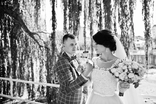 A park, a fűzfa alatt állt, és a gazdaság bajnok newlywed — Stock Fotó