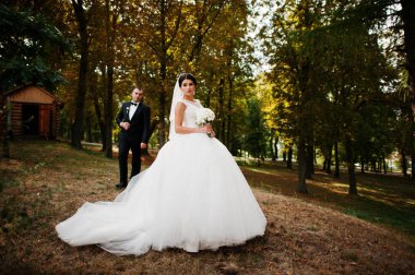 İnanılmaz genç muhteşem yeni evli çift bir yürüyüş alarak