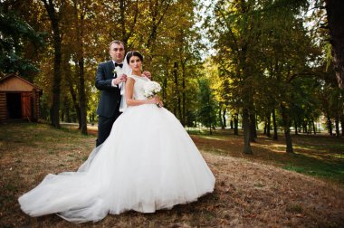 İnanılmaz genç muhteşem yeni evli çift bir yürüyüş alarak