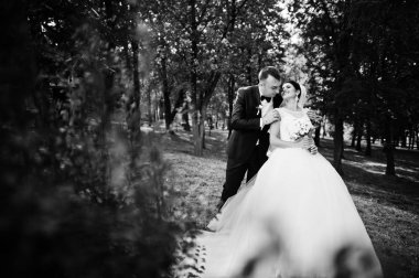 İnanılmaz genç muhteşem yeni evli çift bir yürüyüş alarak