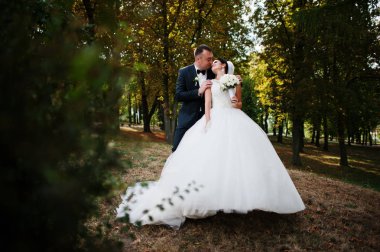 İnanılmaz genç muhteşem yeni evli çift bir yürüyüş alarak