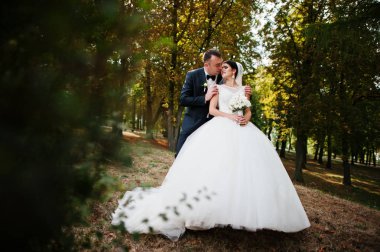 İnanılmaz genç muhteşem yeni evli çift bir yürüyüş alarak