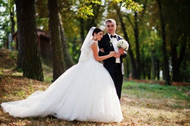 İnanılmaz genç muhteşem yeni evli çift bir yürüyüş alarak