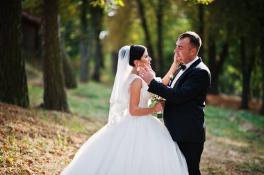 İnanılmaz genç muhteşem yeni evli çift bir yürüyüş alarak