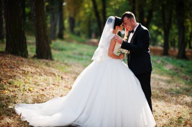 İnanılmaz genç muhteşem yeni evli çift bir yürüyüş alarak