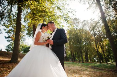 İnanılmaz genç muhteşem yeni evli çift bir yürüyüş alarak