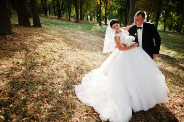 İnanılmaz genç muhteşem yeni evli çift bir yürüyüş alarak