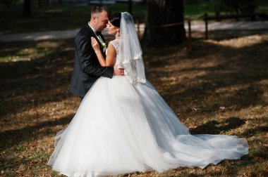 İnanılmaz genç muhteşem yeni evli çift bir yürüyüş alarak