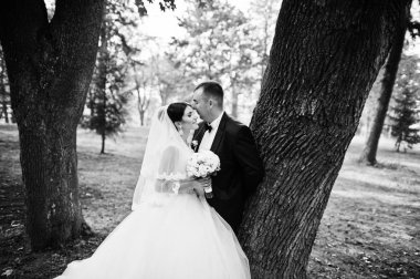 İnanılmaz genç muhteşem yeni evli çift bir yürüyüş alarak