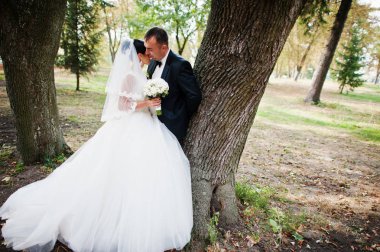 İnanılmaz genç muhteşem yeni evli çift bir yürüyüş alarak